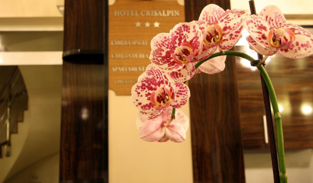Hotel Crisalpin Poiana Brasov Extérieur photo