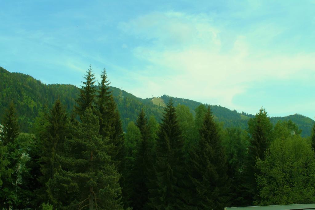 Hotel Crisalpin Poiana Brasov Extérieur photo